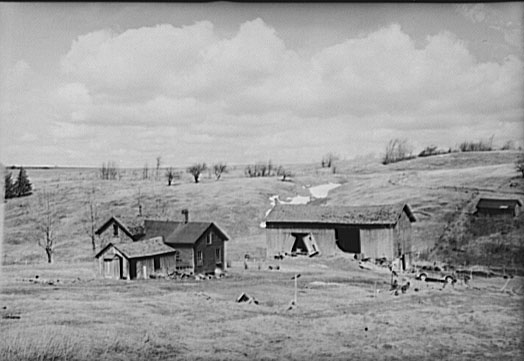 Putting Down Roots – Valerie Hunter