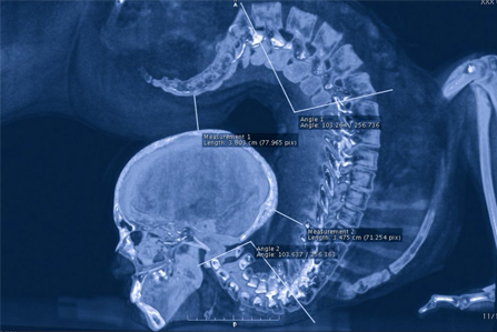 Folding Expectations – Emmie Christie