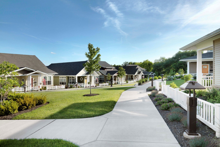 Shady Hollow Garden Club – Camilla Lee