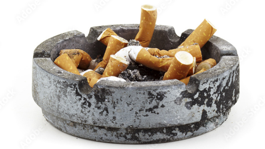 Assistance – Catherine Forrest