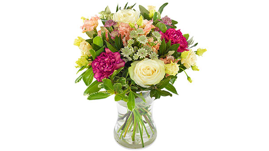 Audrey – Scott Pedersen