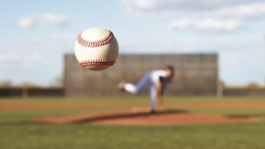 Gopher Night in Birmingham – D.W. Davis