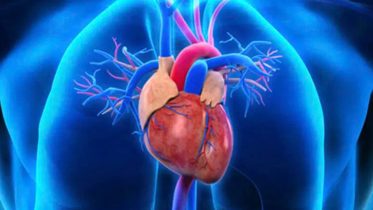 Dead on Time – Sharif Gemie